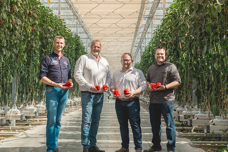 NatureFresh Farms takes home five awards at Greenhouse Vegetable Awards