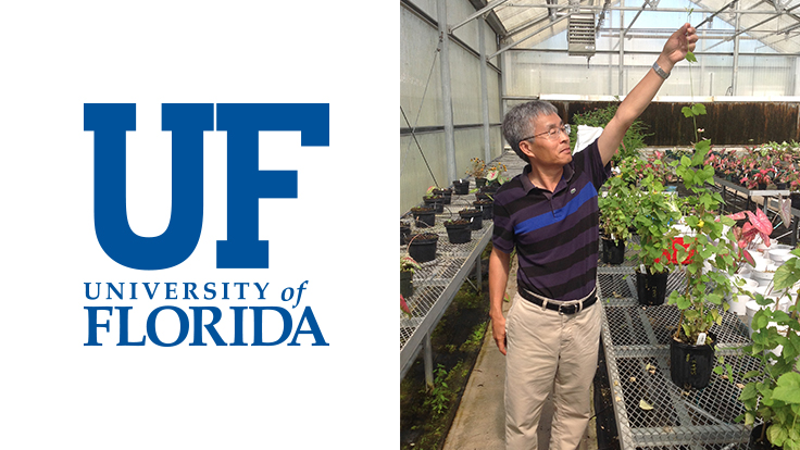 UF/IFAS allocates funding for hop cultivation research