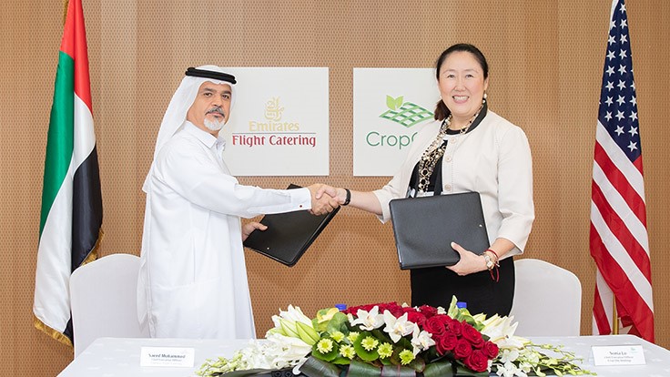 Crop One and Emirates Flight Catering's joint venture aims to build largest vertical farm in the world