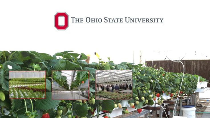 Ohio State schedules greenhouse workshop for 2020