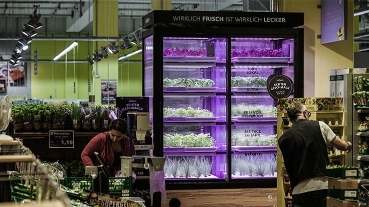 Kroger partners with Europe's Infarm to offer in-store living produce farms