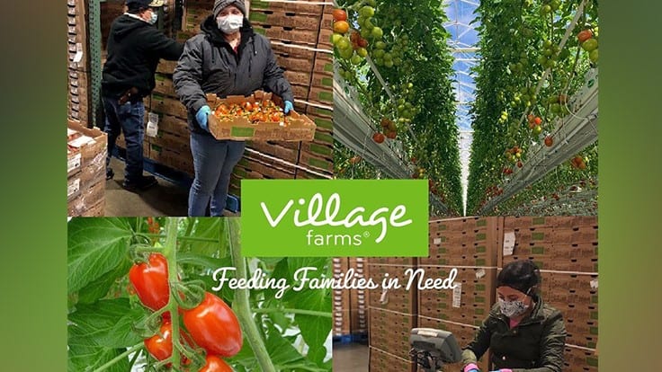 Village Farms donates to food banks and pantries in Texas