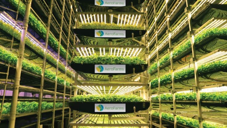 AeroFarms recognized by Fast Company for third consecutive year