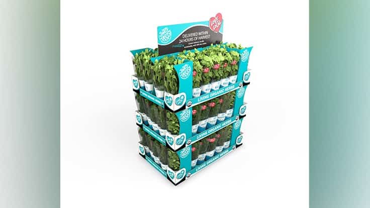 Shenandoah Growers launching living potted herbs program in April