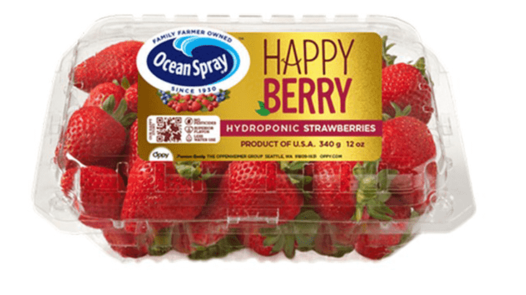 New hydroponic strawberry debuts next month under Ocean Spray brand