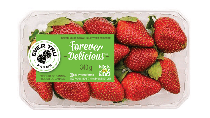 New strawberry producer Ever Tru Farms launches in Ontario