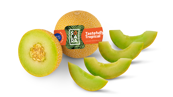 Pure Flavor launches 'Solara' greenhouse-grown melon