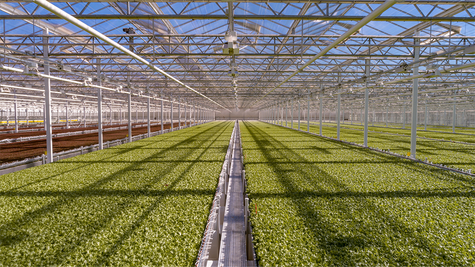 Little Leaf Farms raises $300 million in new capital
