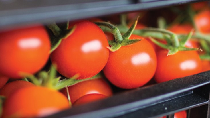 30 tips for safe produce packing and transportation