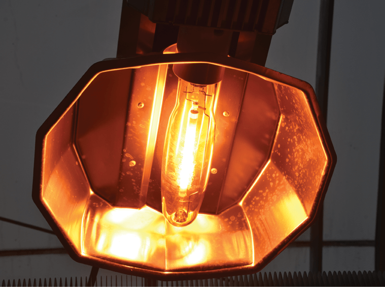 Pressured Sodium Lamps In Greenhouses