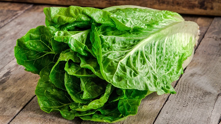 A photo of green romaine lettuce on a brown wooden table.