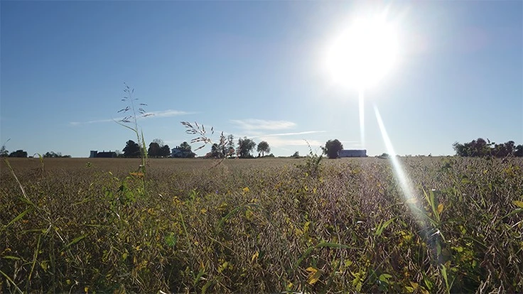 Photo courtesy of Kentucky Fresh Harvest