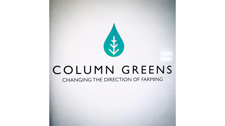 Column Greens partners with local school districts Produce Grower