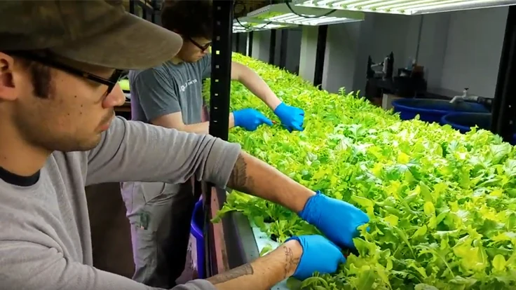 About two years after opening, aquaponics operation Urban Organics is set to close.