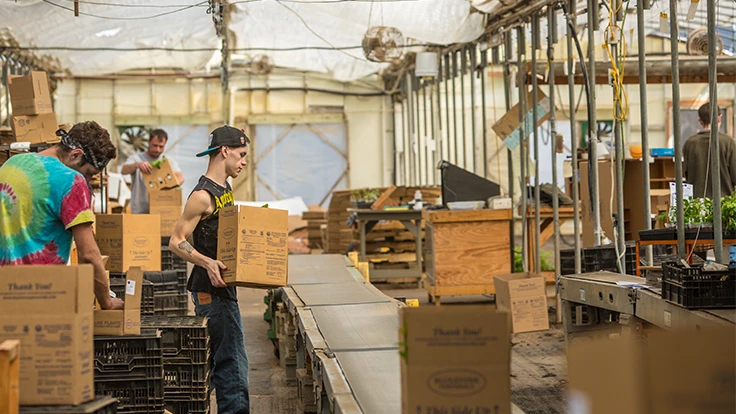 Photo: Laura Watilo Blake