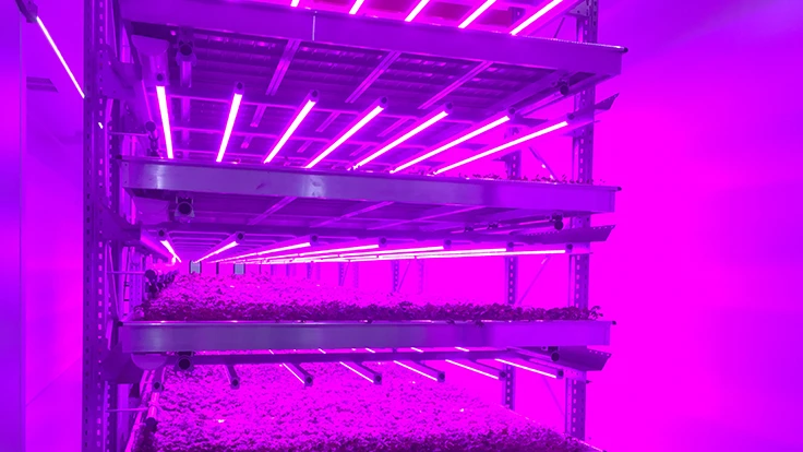 Photo: Adobe Stock, A Linscott