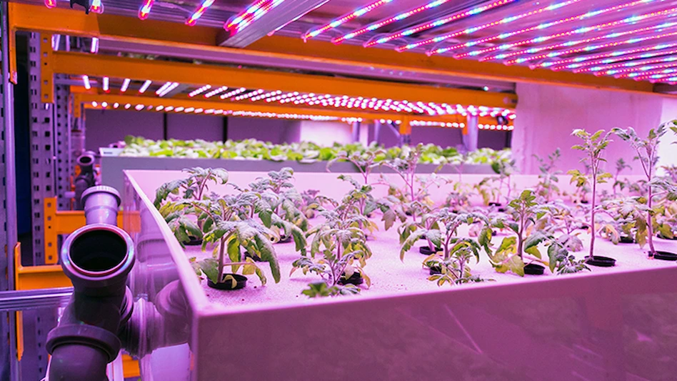 CanadaGAP to phase out aquaponics certification Produce Grower