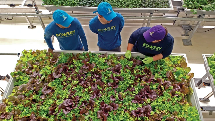 Photo courtesy of Bowery