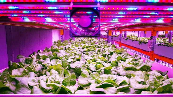 Photo © josefkubes | Adobe Stock