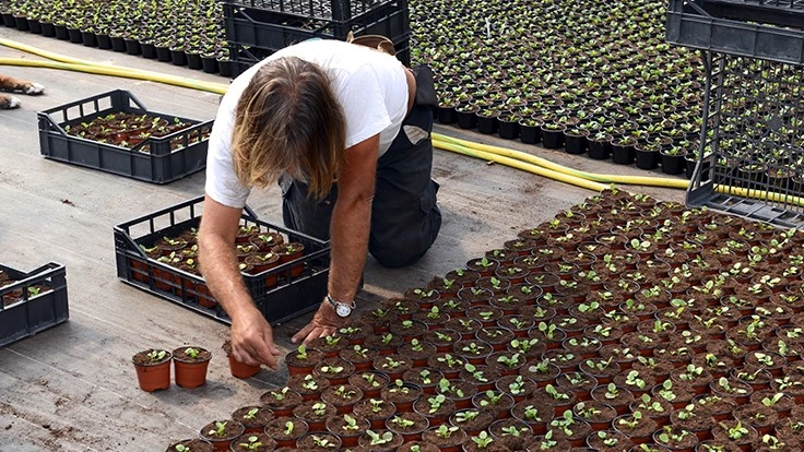 © Jashin | Adobe Stock