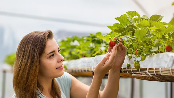 Photo: © bondvit, Adobe Stock