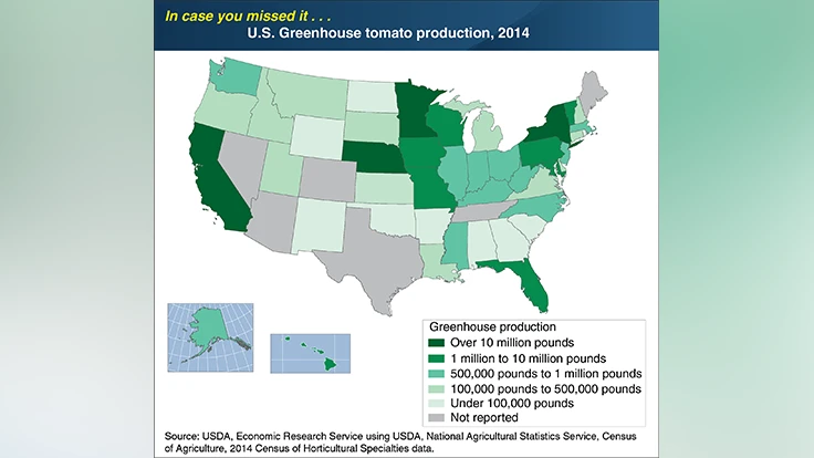 A chart detailing greenhouse tomato production in the U.S.