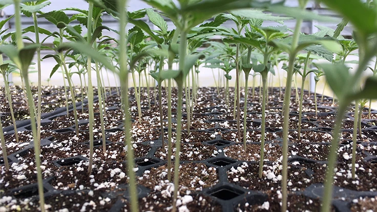 Photo courtesy of Proptek