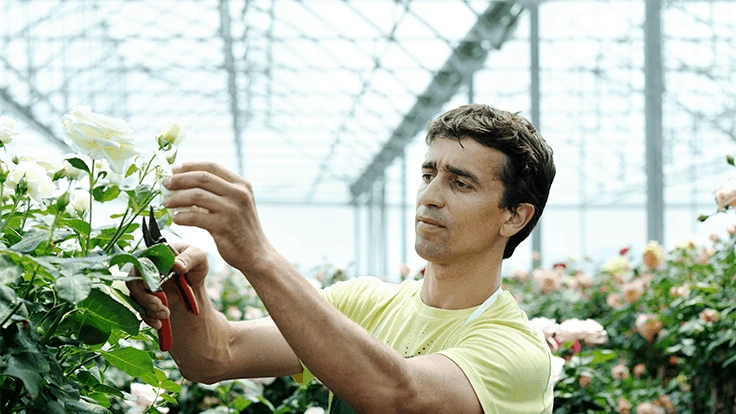 Photo: © Mykola Velychko, Adobe Stock