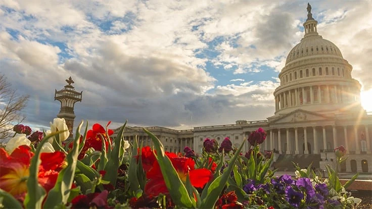 Image of government building in front of flowers