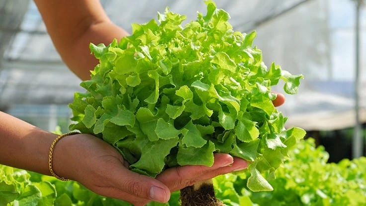 Photo © teen00000 | Adobe Stock