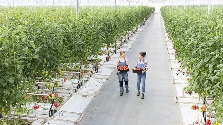 Photo:  moodboard, Adobe Stock