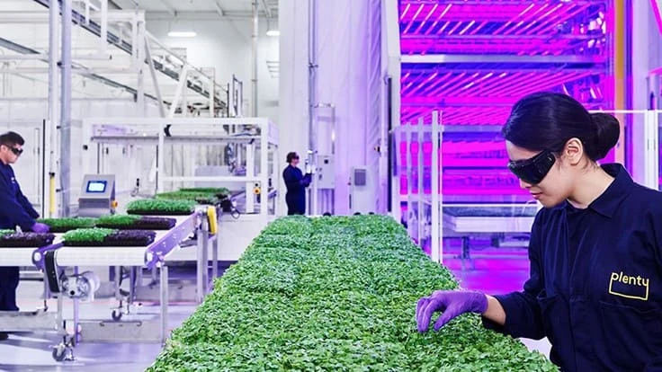 Photo courtesy of Plenty