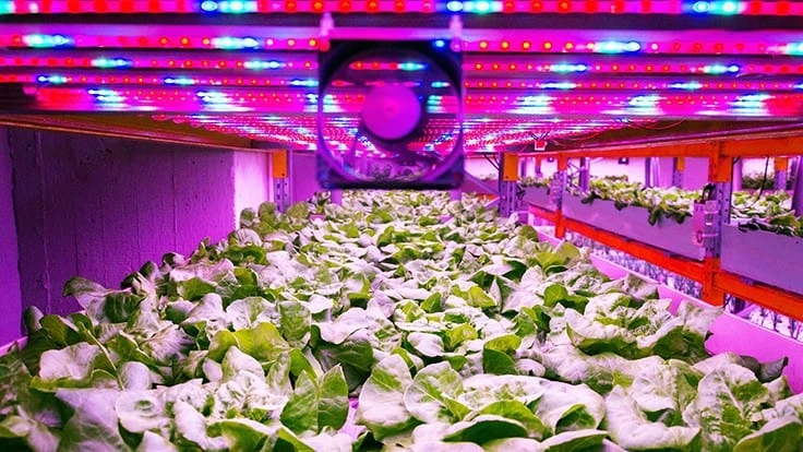 Photo: josefkubes, Adobe Stock