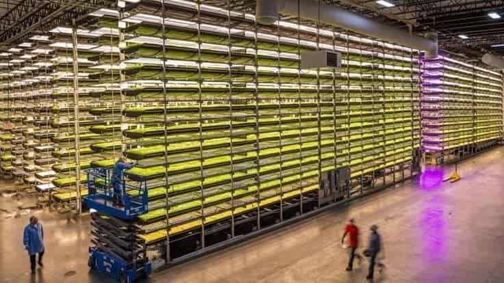 A large indoor vertical farm.