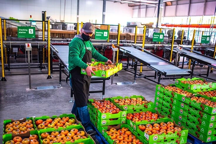 Photo courtesy of AppHarvest