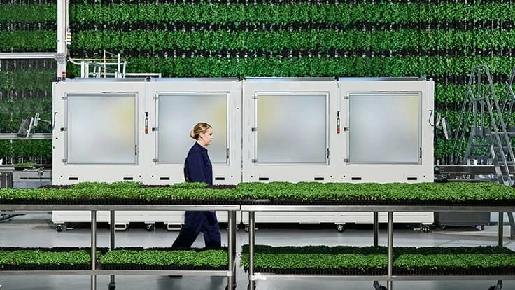 Inside Plenty's San Francisco farm