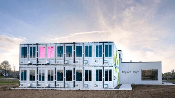 Photo courtesy of Square Roots