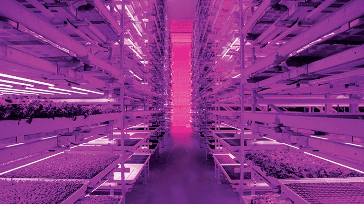 Photo by Michael Ray