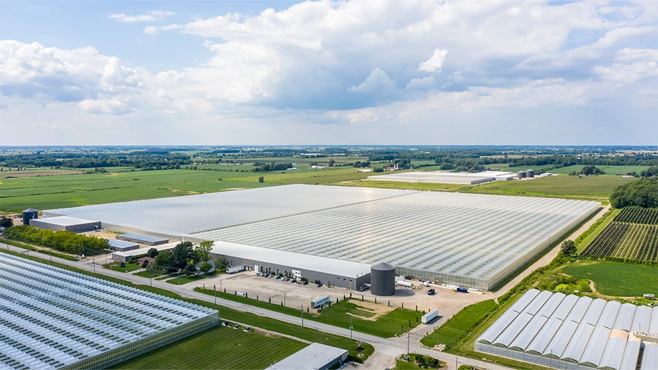 An overhead shot of a Mucci Farms greenhouse facility