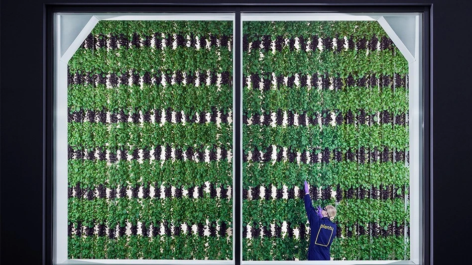 Inside Plenty's San Francisco facility