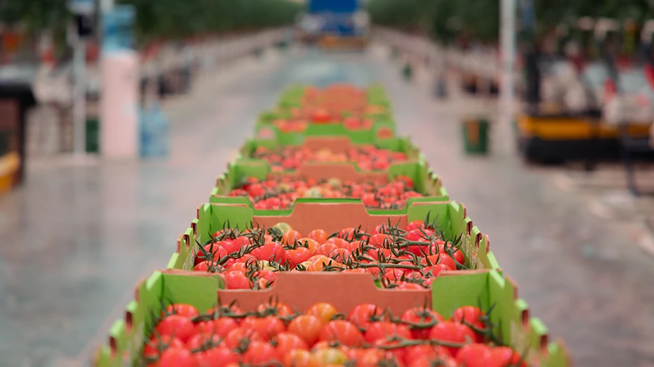 Photo courtesy of AppHarvest