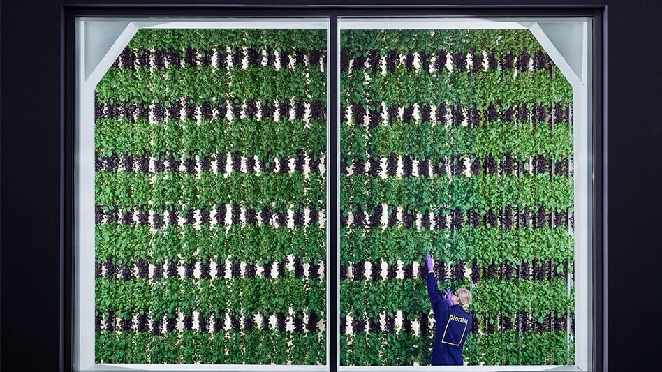 Photo courtesy of Plenty