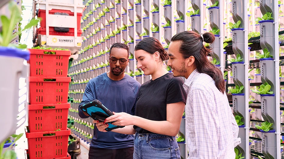 From left to wright: Cameron Grant, Kelly Mardones and Jacob Portillo