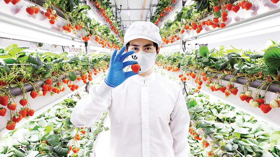Oishii Co-Founder and CEO Hiroki Koga inside one of the company's farm with the Koyo Berry
