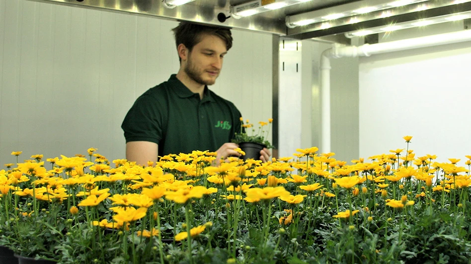 Photo courtesy of Jiffy