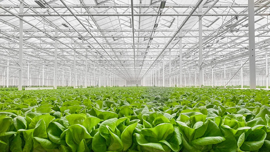 Photo courtesy of Gotham Greens