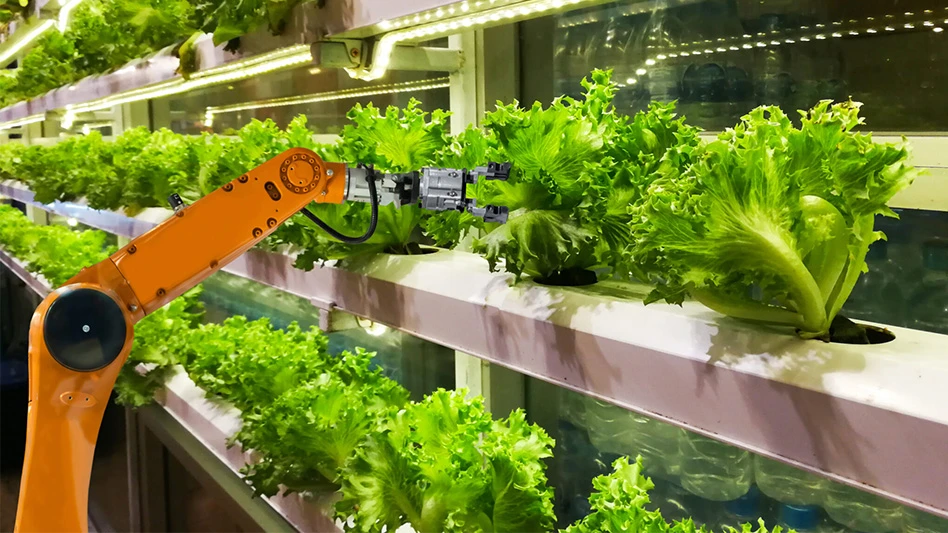 Leafy greens growing in a hydroponics system, with an orange harvesting mechanical arm visible.