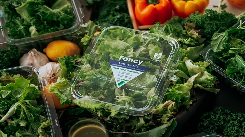A plastic package of leafy greens surrounded by additional leafy greens and red and orange peppers.