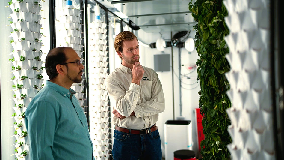 Two men look at produce growing in a vertical indoor setup.