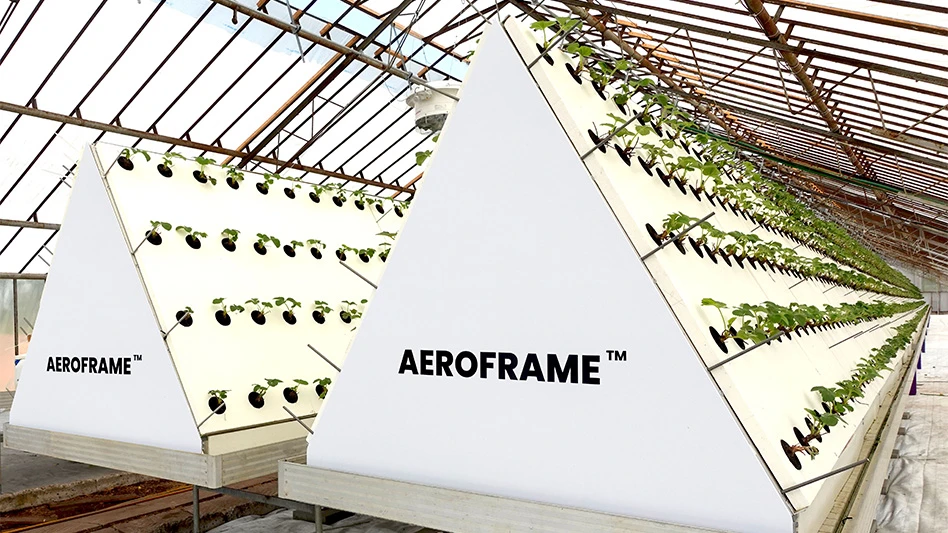 Two rows of strawberry-growing technology, in white triangular boxes.